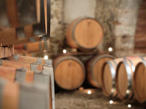 chateau dollieres 6